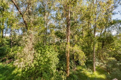 Image 14 - 936018