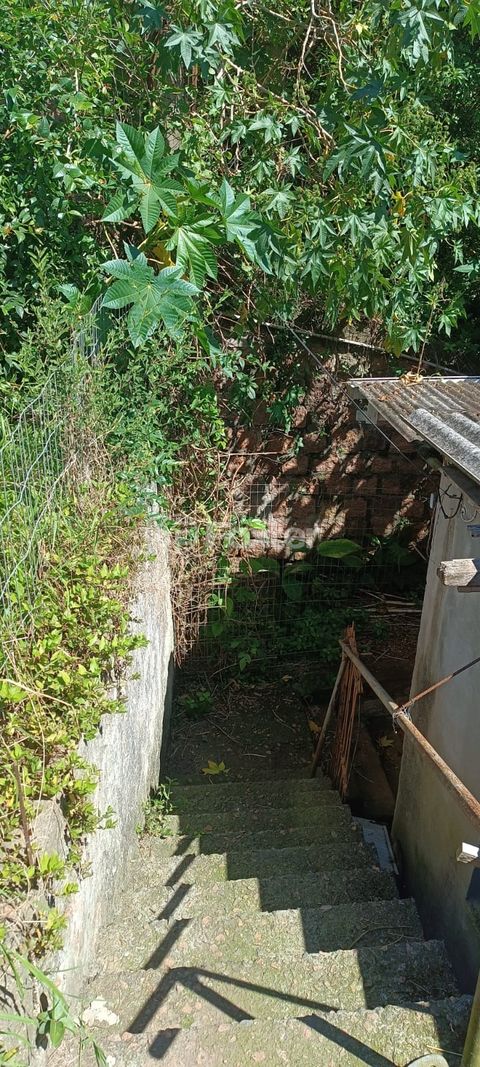 Image 13 - 936836
